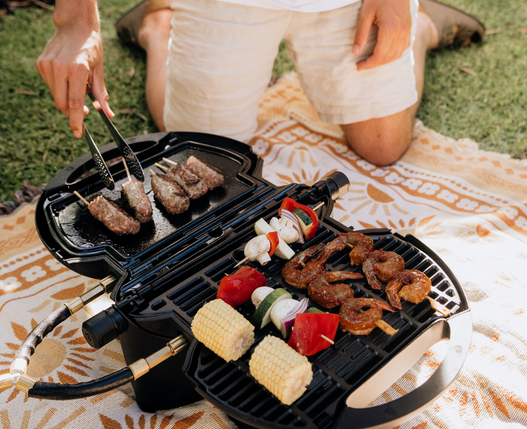 Why Choose Dometic and NomadiQ Portable Gas BBQs